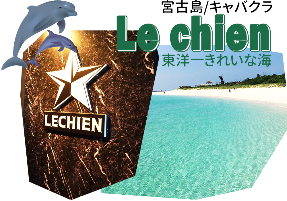 Lechien-miyako-banner-18